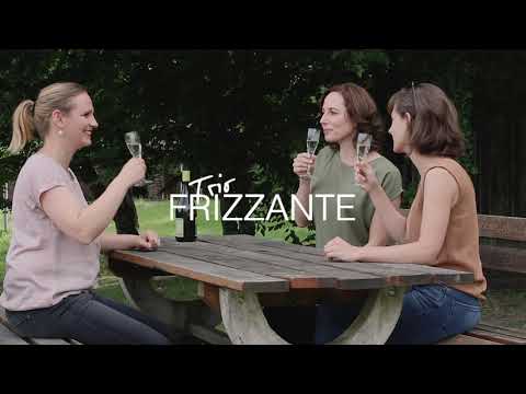 Preview image for the video "TRIO FRIZZANTE plays Debussy Trio in G".